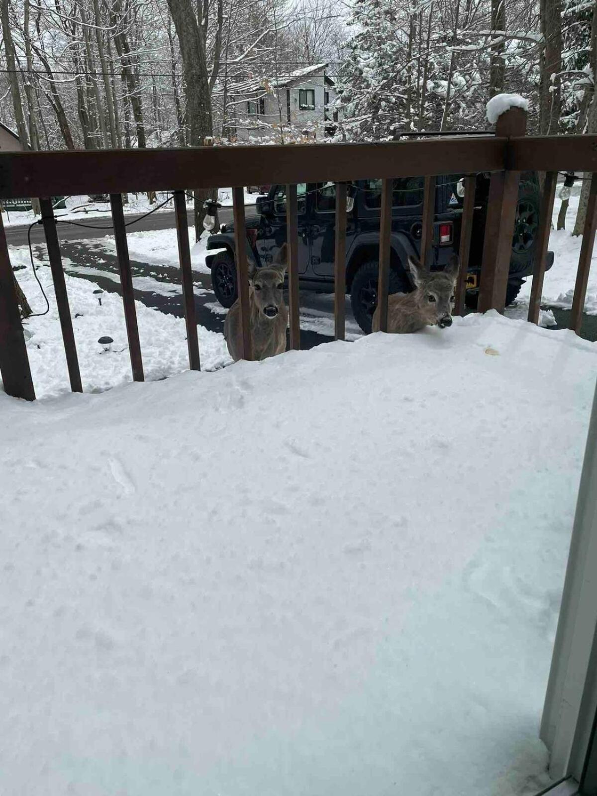 Cozy In The Heart Of The Poconos Chalet Tobyhanna